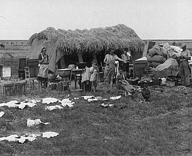 German family deported to a steppe-like countryside